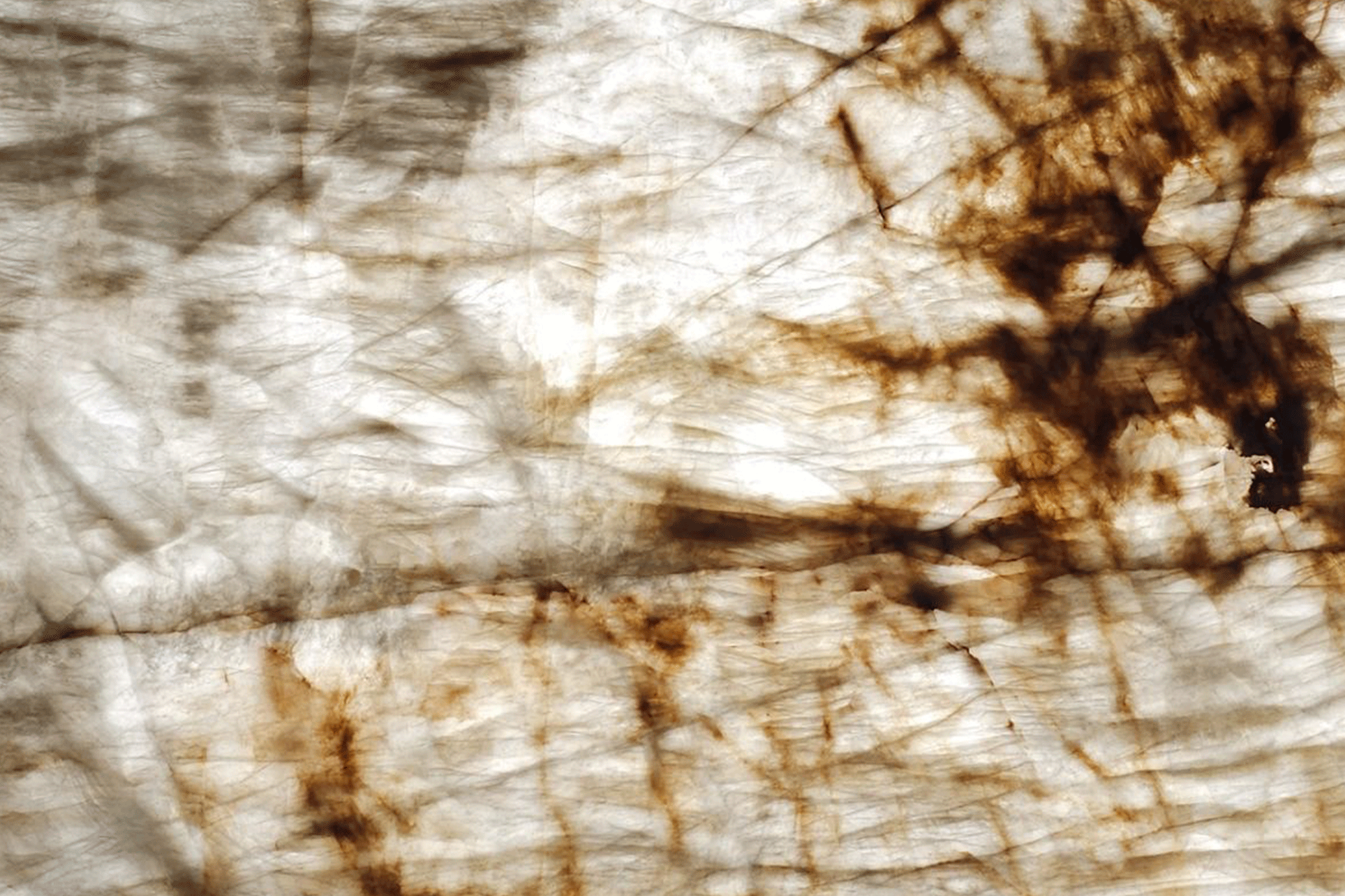 Iluminato-Champagne---Translucido