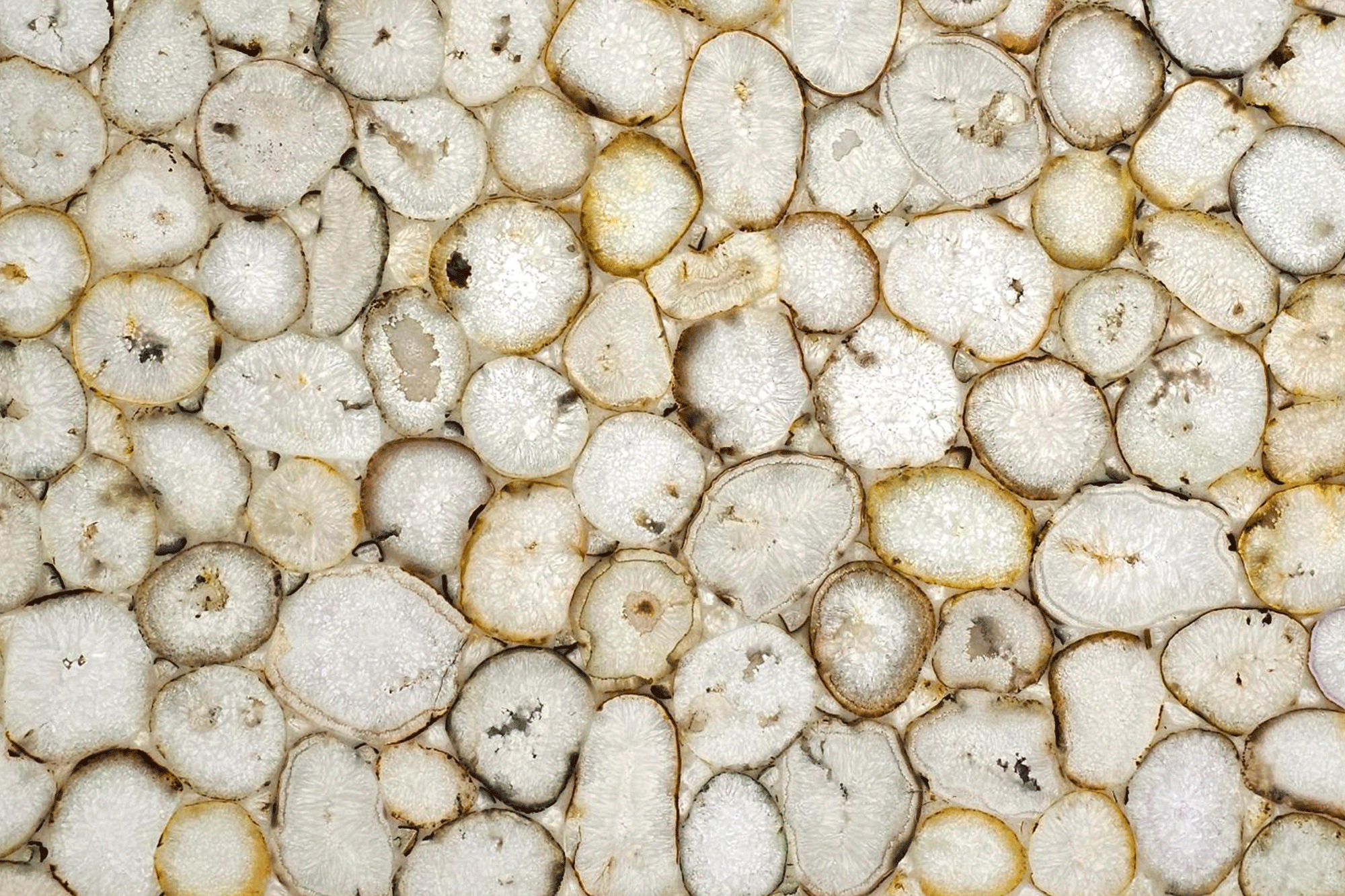 Agata White - Translucido