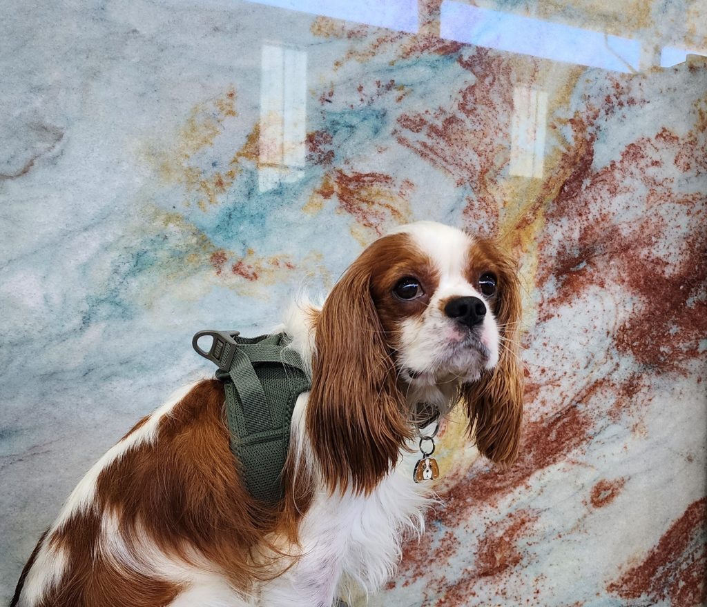 Quartzito Volcanic Lava da Zucchi Luxury Stones. Autenticidade e Sustentabilidade das pedras naturais.