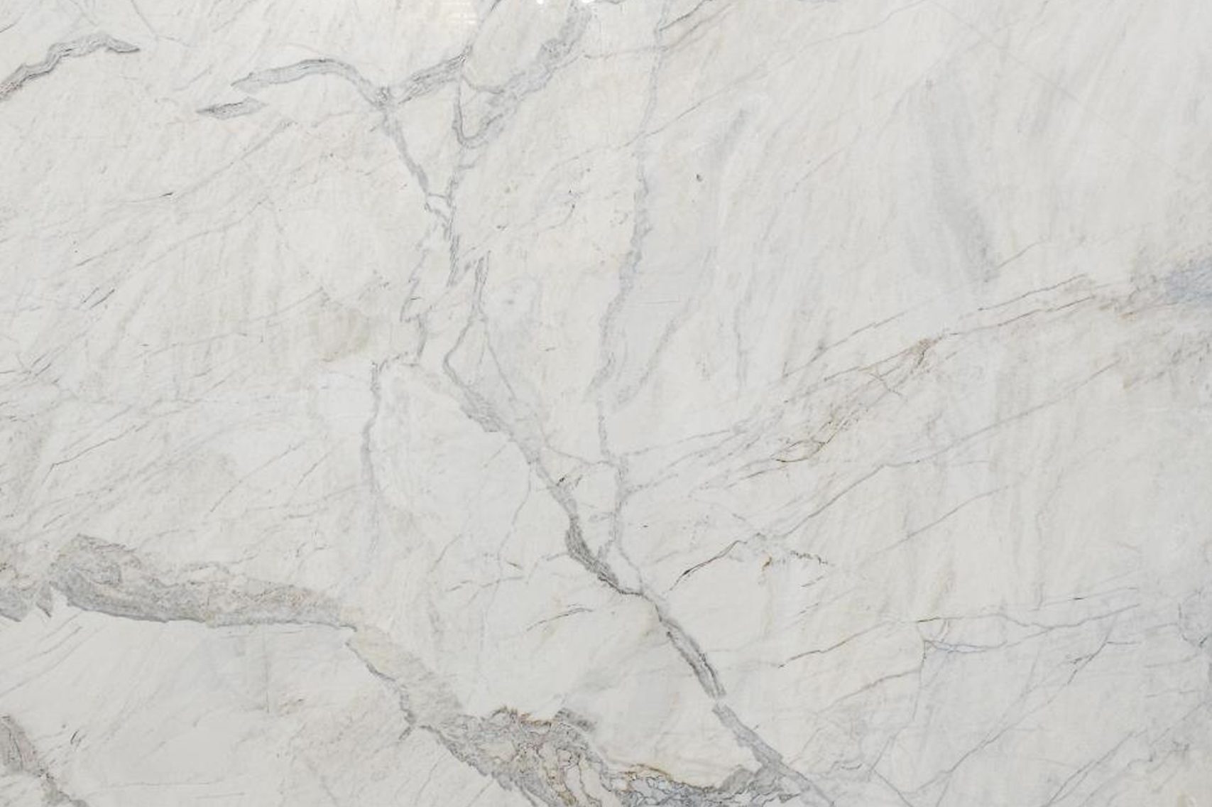 Michelangelo Calacatta