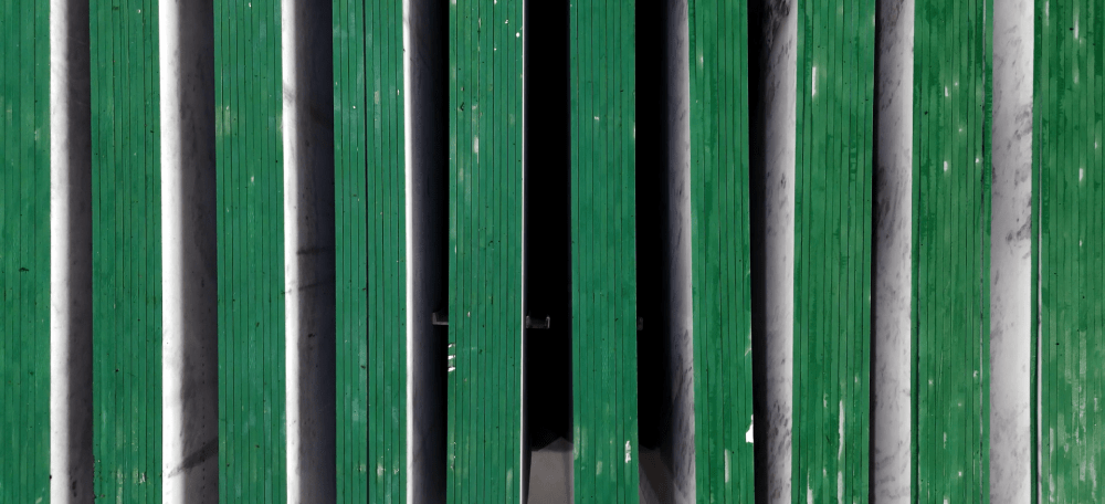 borda verde Zucchi