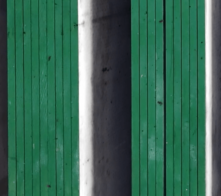 borda-verde-1